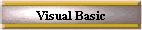 Visual Basic