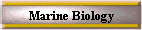 Marine Biology